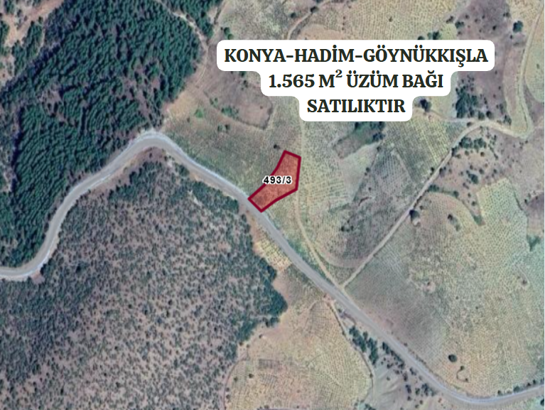 KONYA HADİM GÖYNÜKKIŞLA MAH. 1.595M² BAĞ SATILIKTIR - KONYA HADİM fotoğraf 2