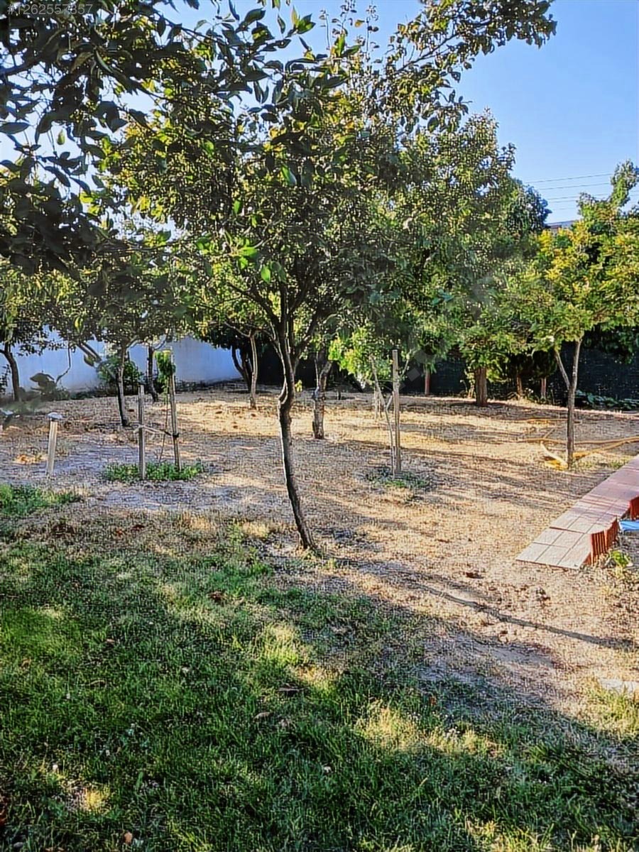 DOSTLAR GAYRİMENKUL DEN SÜLEYMANLI DA ARSA - MANİSA AKHİSAR fotoğraf 18