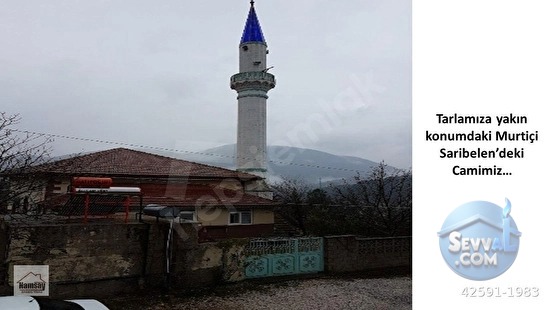 Murtiçine Yakın Konumda Acil Satılık Tarla - ANTALYA AKSEKİ fotoğraf 20