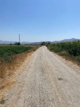 İzmir Torbalı Şehitlere 45 Dönüm Tarla Satılık - İZMİR TORBALI fotoğraf 3