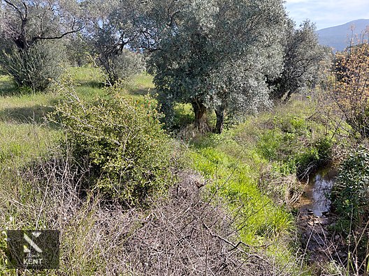 Kemalpaşa Dereköy'de Satılık 4850 m2 Bahçe - İZMİR KEMALPAŞA fotoğraf 32