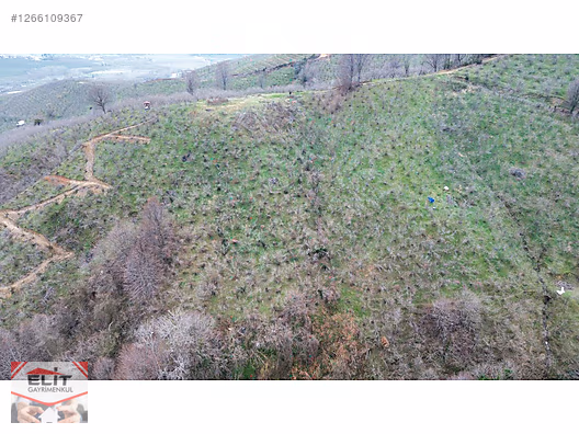 DÜZCE AKÇAKOCA DA EV YAPIMINA UYGUN SATILIK 7.768 M2 FINDIKLIK - DÜZCE AKÇAKOCA fotoğraf 12