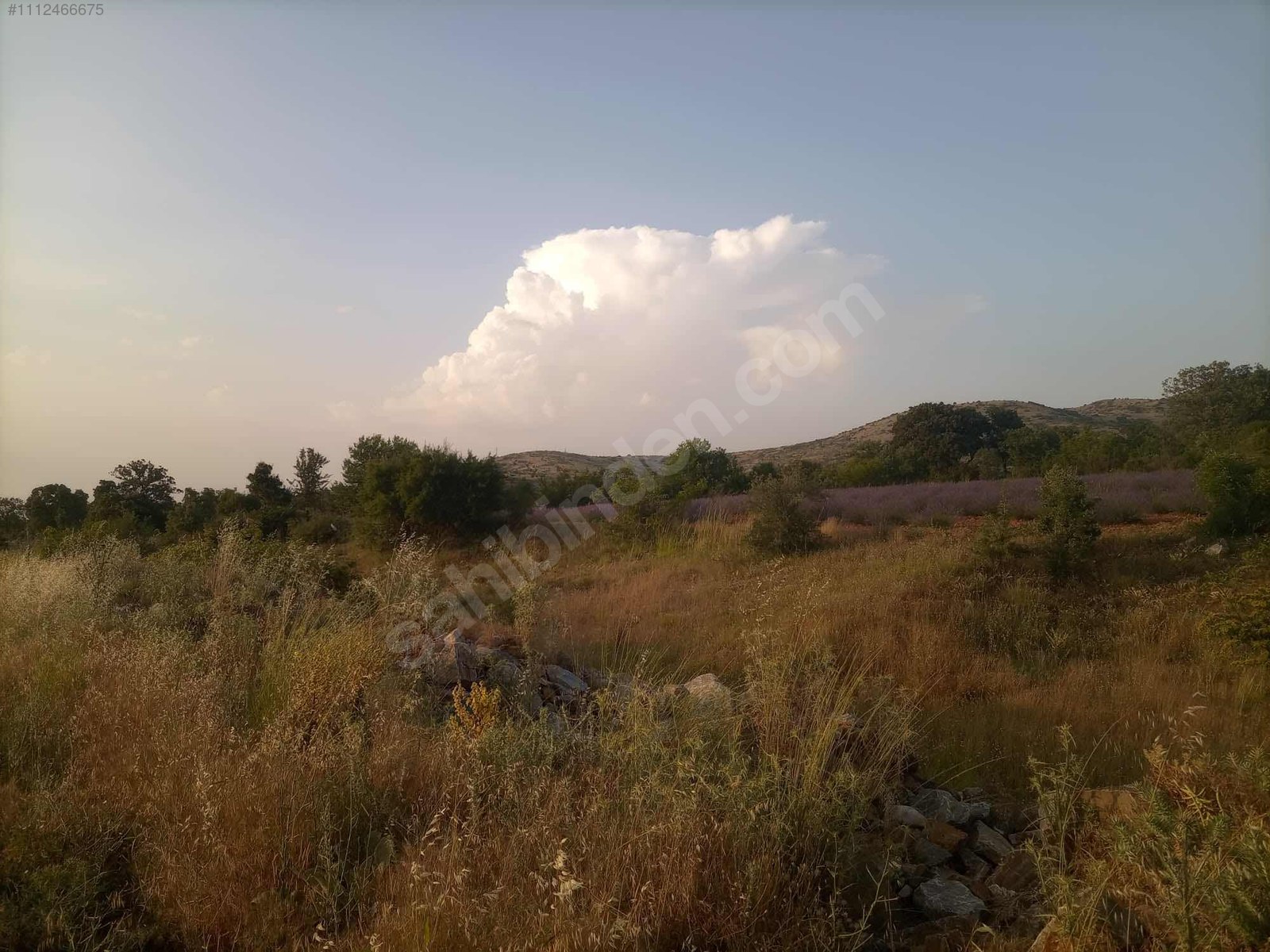DENİZLİ BEKİLLİ DEŞDEMİR KÖYÜNDE  5.489 M²   TARLA SATILIKTIR - DENİZLİ BEKİLLİ fotoğraf 12