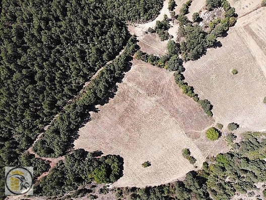 ASLAN EMLAK'TAN SATILIK KÜTAHYA HİSARCIKTA 853 M2 TARLA !!! - KÜTAHYA HİSARCIK fotoğraf 3