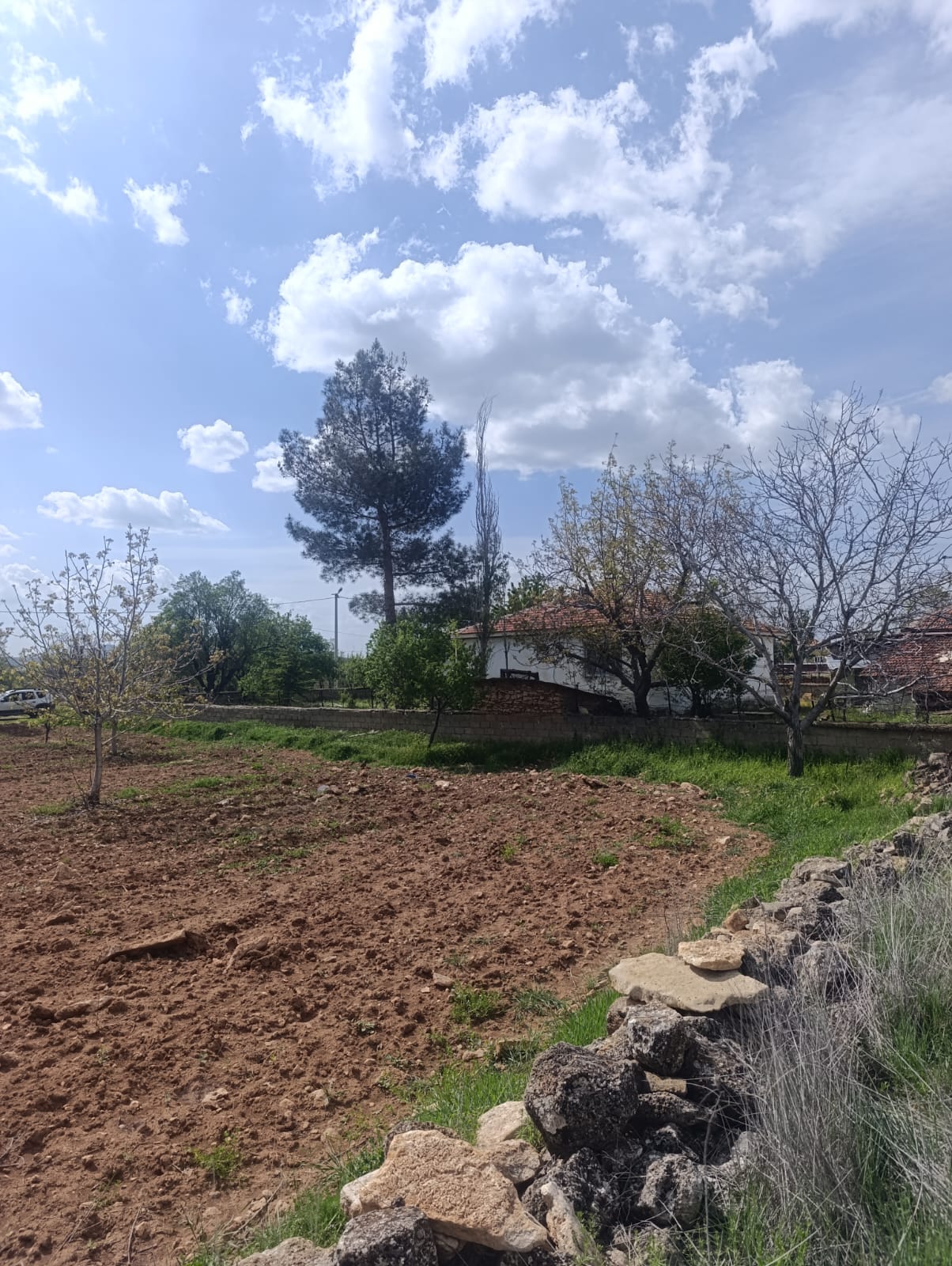 UŞAK KARAHALLI ÇOKAKLI KÖYÜNDE 616M² TARLAMIZ SATILIKTIR  - UŞAK EŞME fotoğraf 8