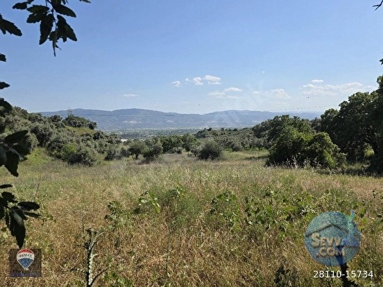 AYDIN BOZDOĞAN OSMANIYE'DE 71.000M² SATILIK ZEYTIN BAHÇESI TAMAMI SATILIK - AYDIN BOZDOĞAN fotoğraf 9