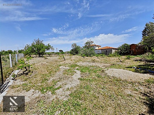 Kemalpaşa Armutlu Satılık 1120 m2 Bahçe - İZMİR KEMALPAŞA fotoğraf 32