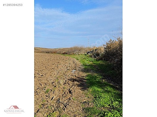 OVAAZATLI 930 M2 TARLA - BURSA MUSTAFAKEMALPAŞA fotoğraf 4