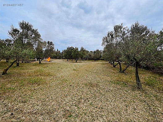 ARYA'DAN EDREMİT ÇIKRIKÇI'DA 5000 M2 TARLA - BALIKESİR EDREMİT fotoğraf 2