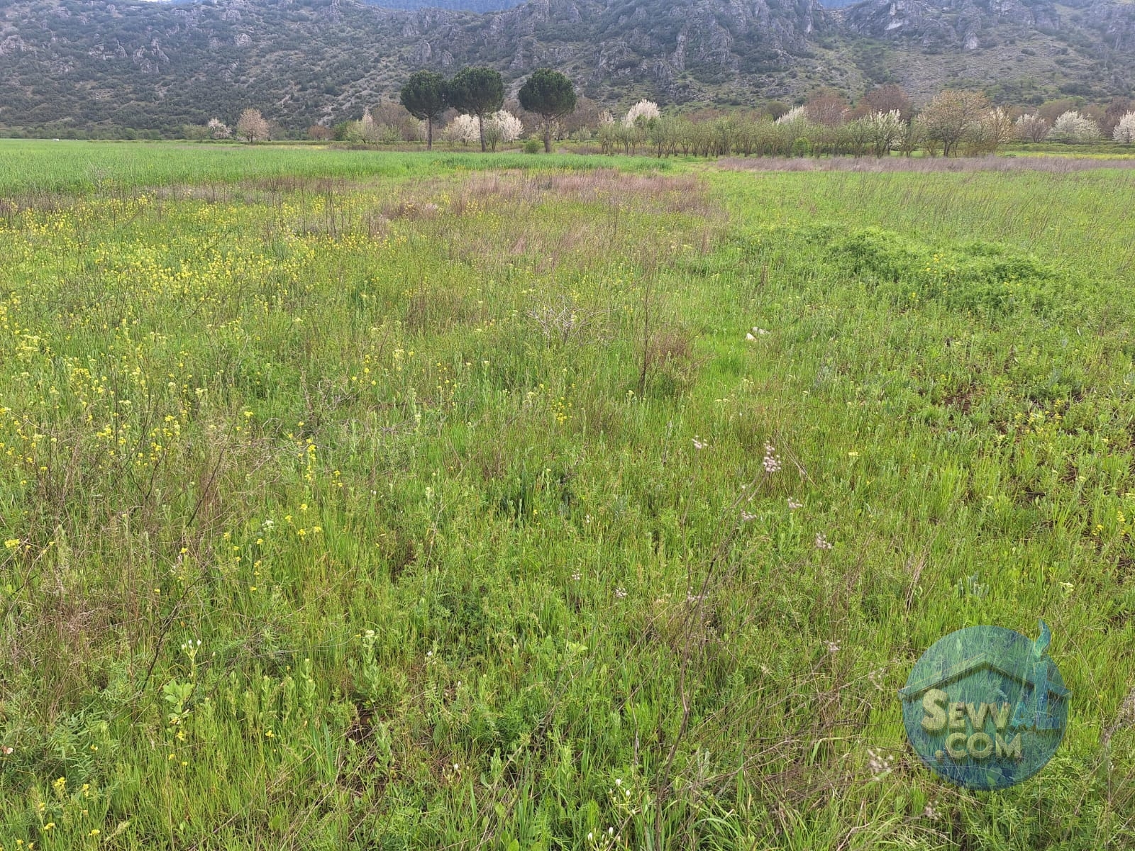 ASYA EMLAKTAN BURDUR AĞLASUN HİSARKÖY DE SATILIK FIRSAT TARLA - Burdur Ağlasun fotoğraf 20