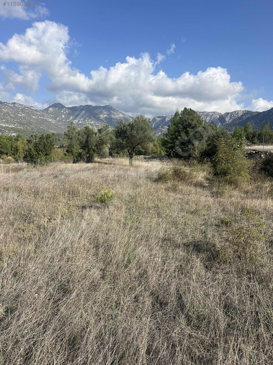 Antalya / Akseki / Erenyaka Mahallesinde  1.551 m² SATILIK ARSA  - ANTALYA AKSEKİ fotoğraf 15