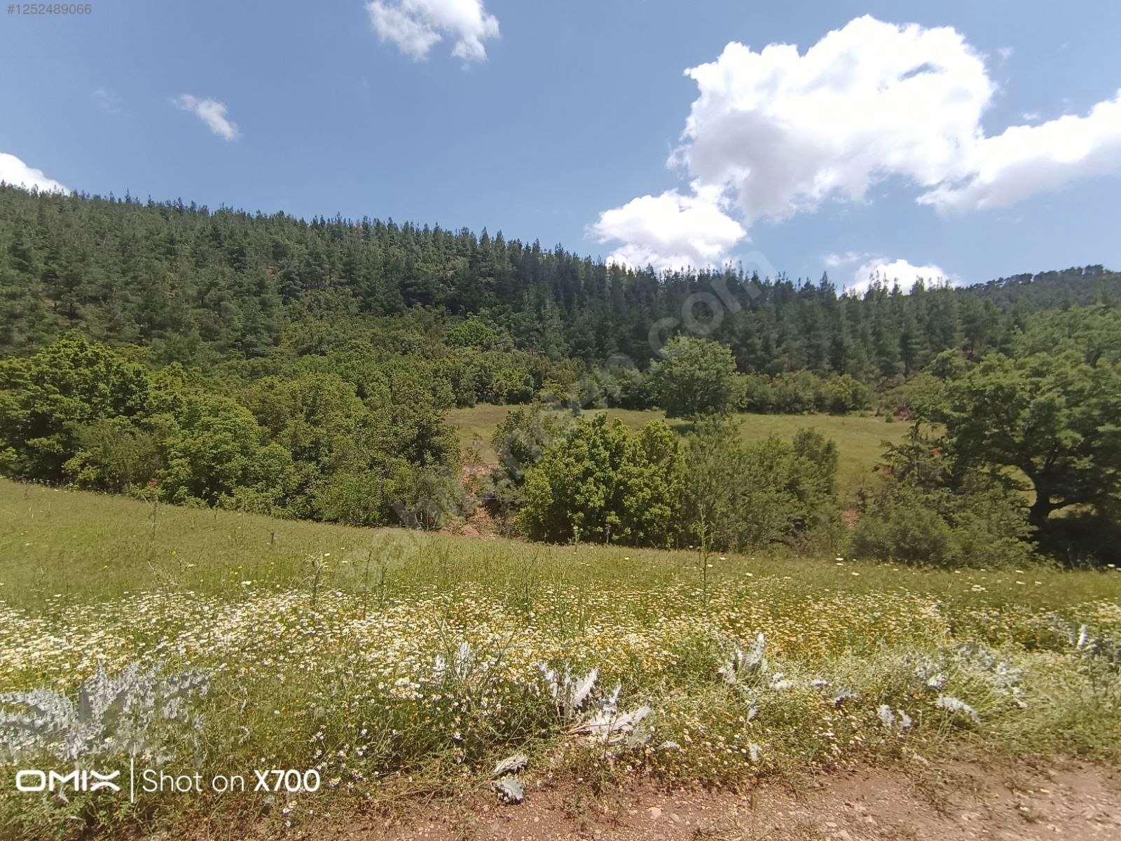 Antalya Konyaaltı Doyran Yayla 1.200 m² Tek Tapu Konyaalti Sahile 30 dk - ANTALYA KONYAALTI fotoğraf 3