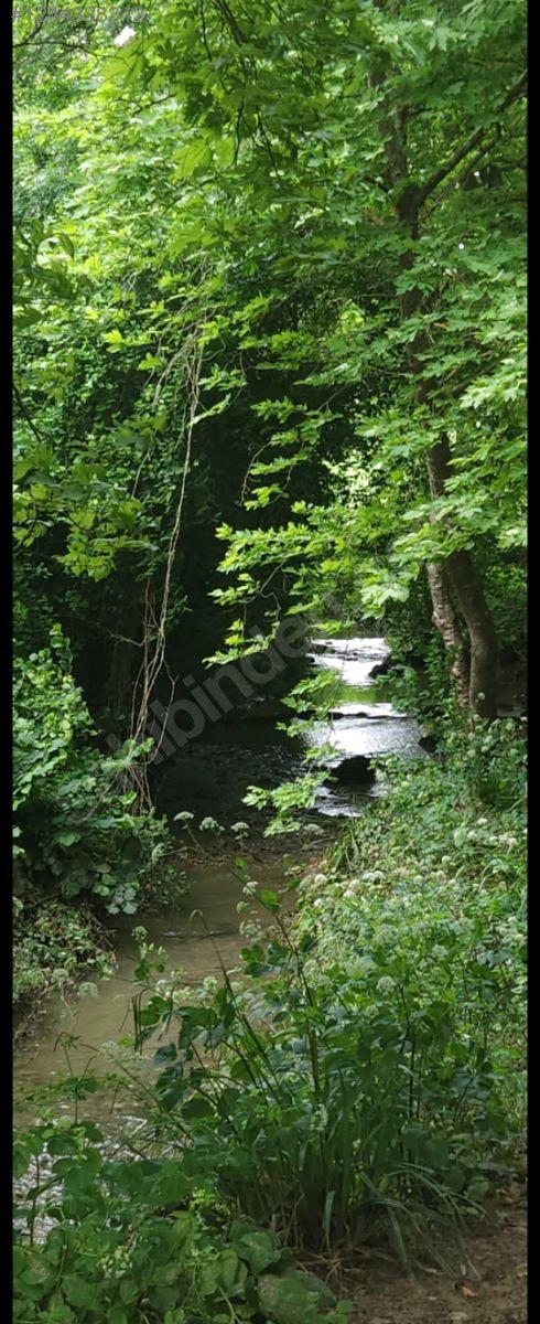 Gökçeören Satılık Arazi - KOCAELİ İZMİT fotoğraf 6