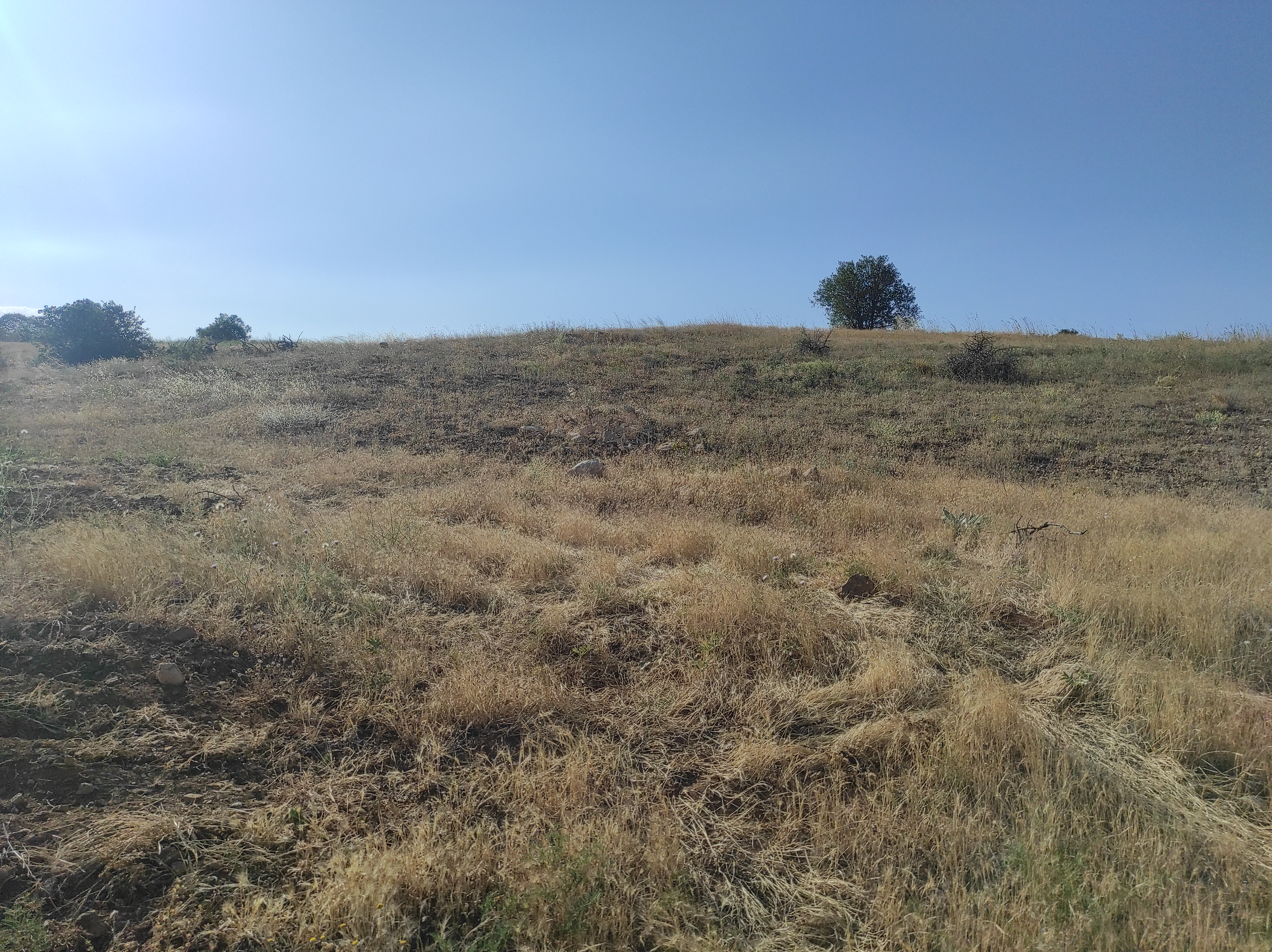 KONYA GÜNEYSINIR AĞRAS  KÖYÜNDE 8.433  M² TARLA  SATILIKTIR - KONYA GÜNEYSINIR fotoğraf 12
