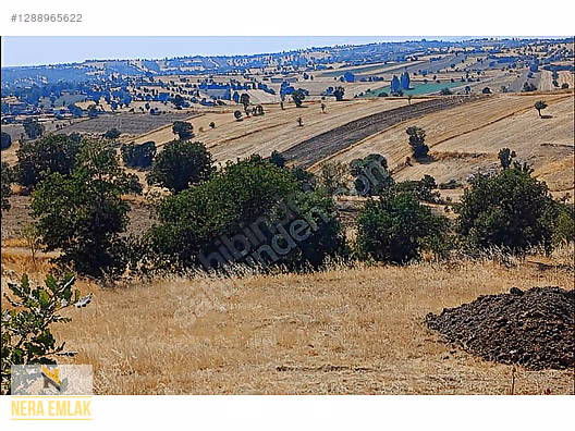 KÖY YERLEŞİMİN DİBİNDE TEKTAPU EV İÇİN TEMEL ATILMIŞ 5.735m2ARSA - MANİSA SELENDİ fotoğraf 3