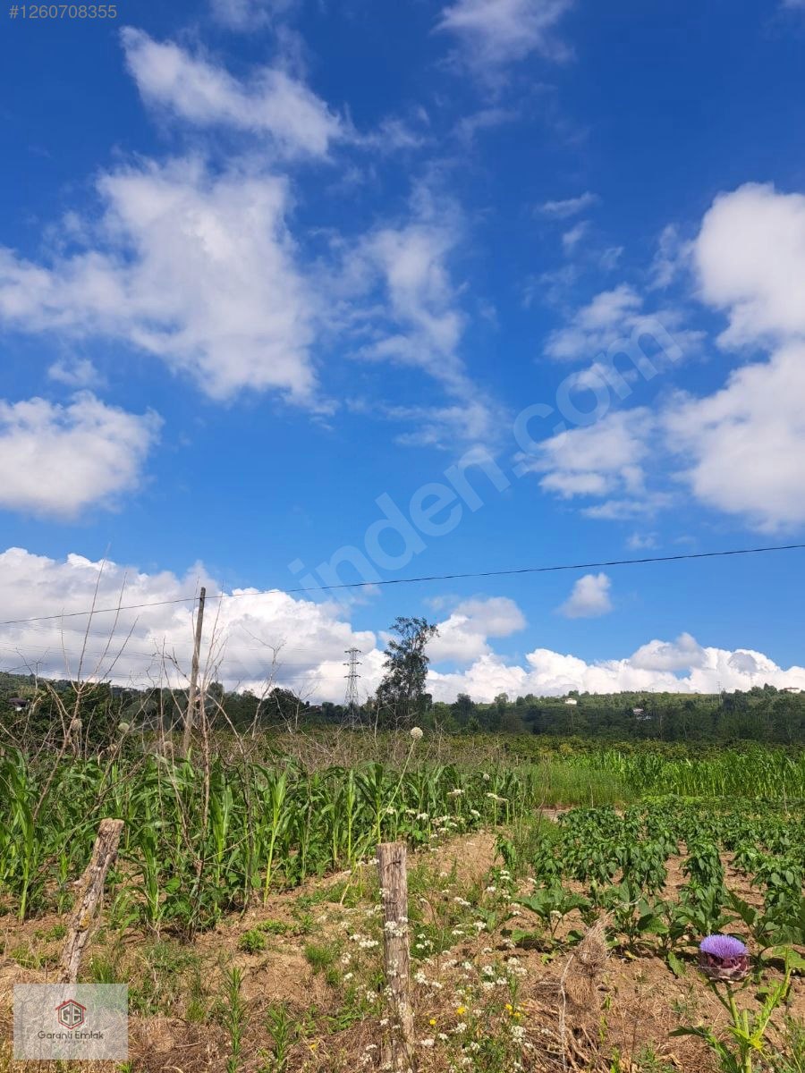 EFİRLİDE YOLA SIFIR SATILIK 2 DÖNÜM ARSA - ORDU PERŞEMBE fotoğraf 4