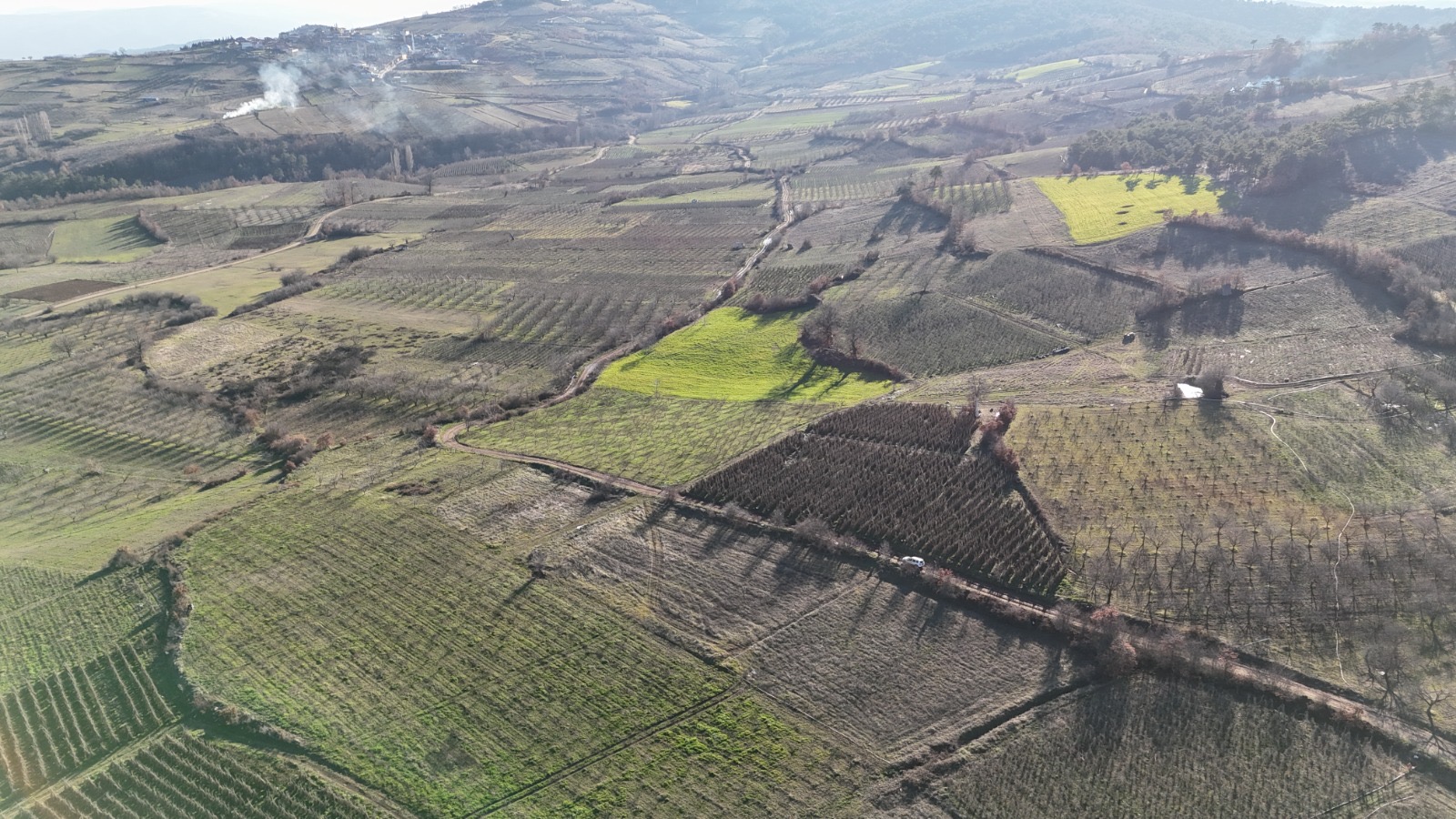 Resmi yola cepheli müstakil arsa - BİLECİK OSMANELİ fotoğraf 3