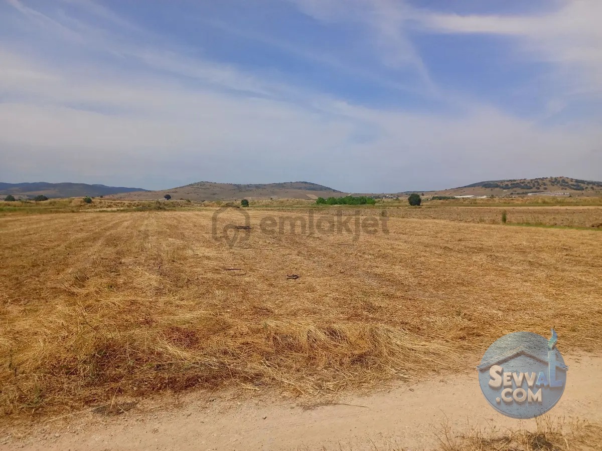 Gökçeyazı Da Kadastro Yolu Mevcut Tarla - BALIKESİR İVRİNDİ fotoğraf 6