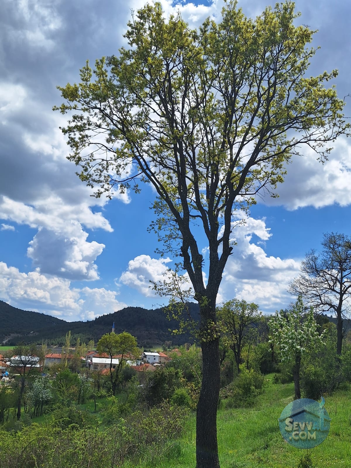 BURDUR AĞLASUN KİBRİT KÖYÜNDE SATILIK KERPİÇ EV VE TARLA - Burdur Ağlasun fotoğraf 18