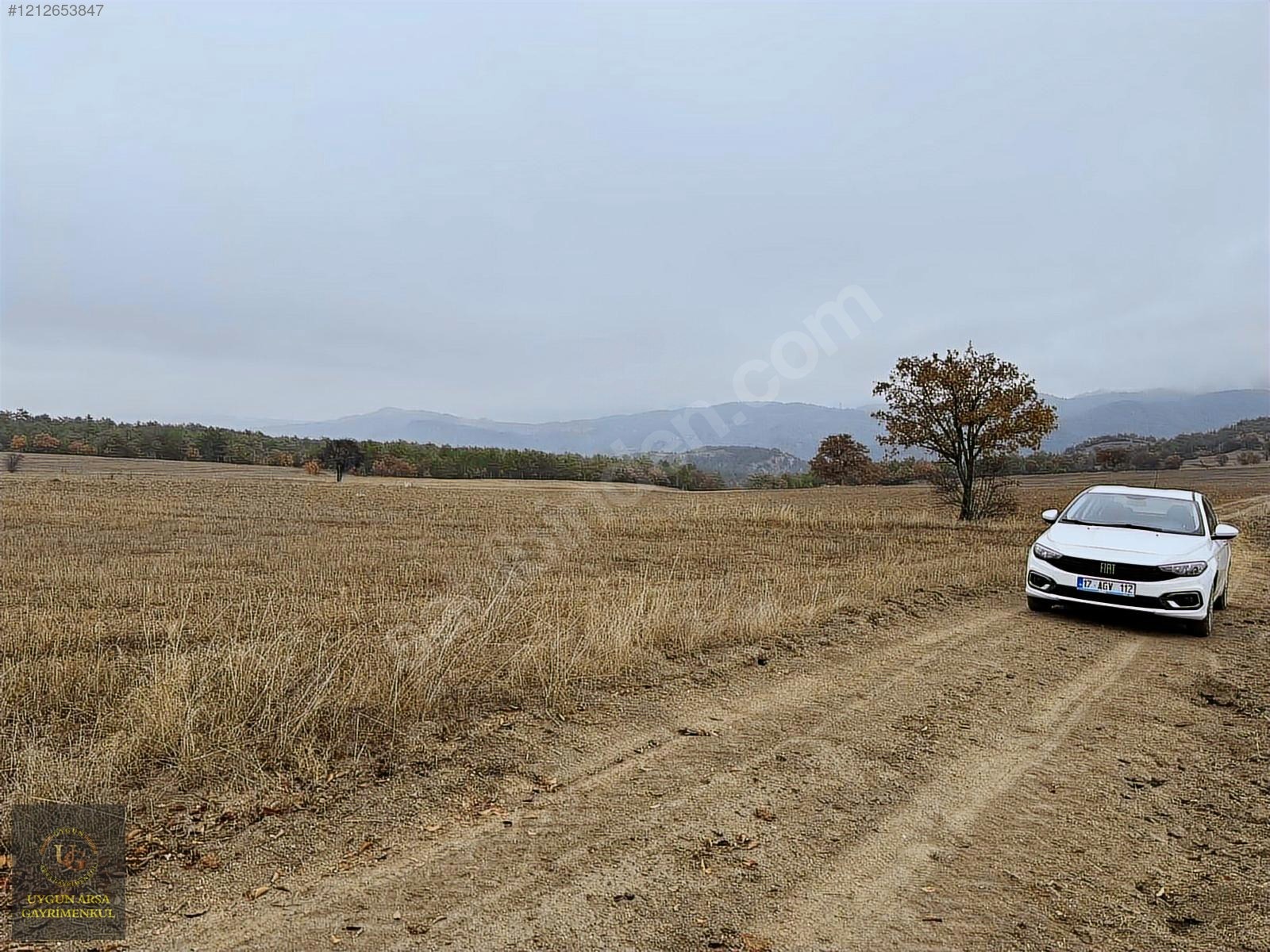 BOLU GÖYNÜK KARAARDIÇ'TA 4.921 M2 UYGUN ARSA - BOLU GÖYNÜK fotoğraf 26
