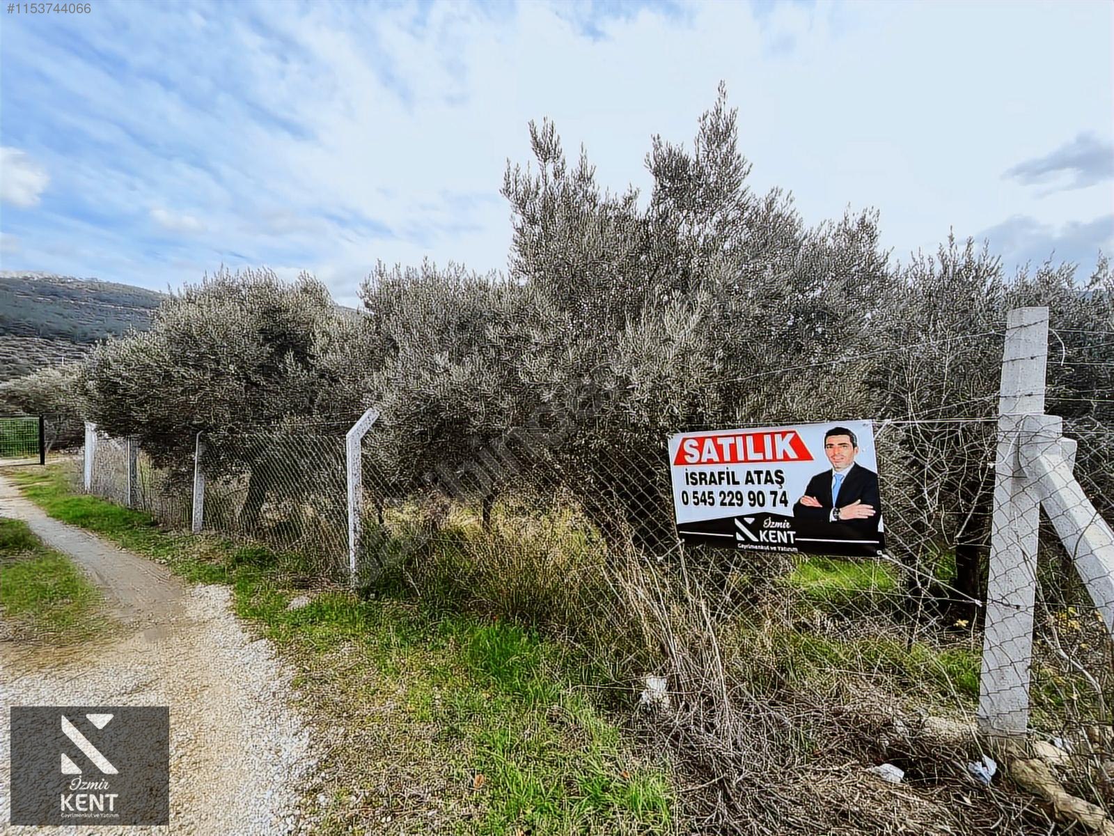 Kemalpaşa Gökyaka Satılık 2700 m2 Bahçe - İZMİR KEMALPAŞA fotoğraf 3