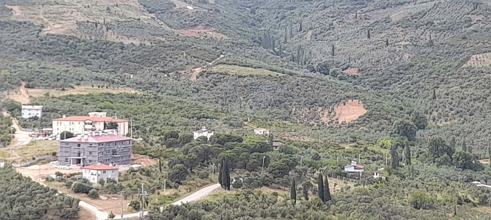 YALOVA ARMUTLU KARŞIYAKA KÖYÜ’NDE 991 M²  BAHÇE SATILIKTIR - YALOVA ARMUTLU fotoğraf 4