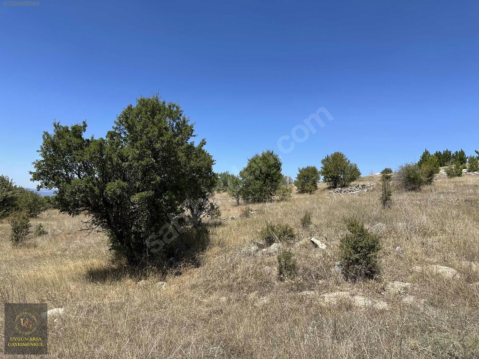 BOLU KIBRISCIK SARIKAYA'DA 8.370 M2 UYGUN ARSA - BOLU KIBRISCIK fotoğraf 18