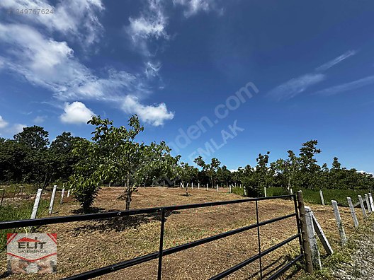 KARASU KUYUMCULUDA SATILIK 463 M2 FIRSAT ARSA - SAKARYA KARASU fotoğraf 28