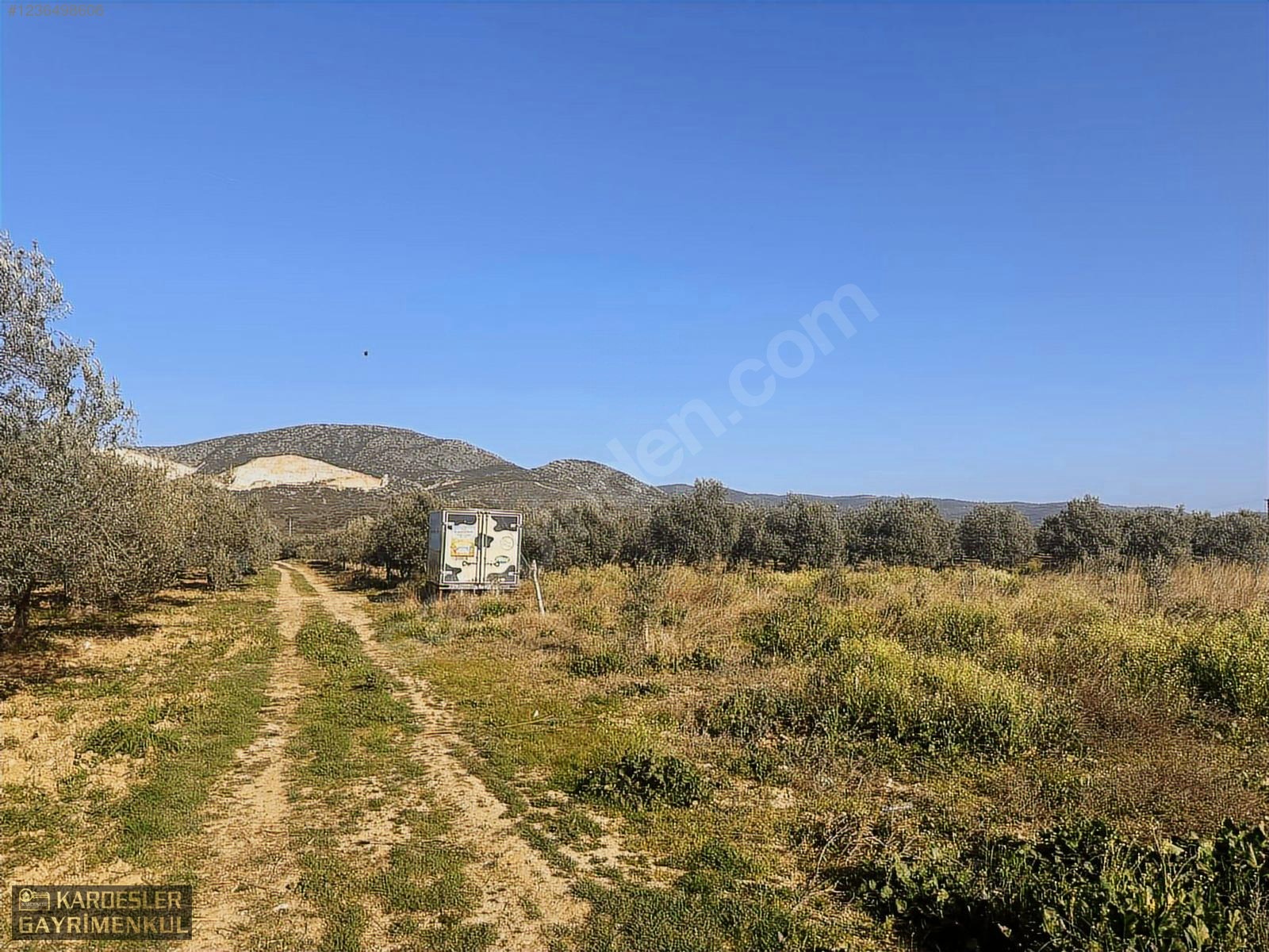 SATILIK GÖLMARMARA SALİHLİ YOLU ÜZERİNDE ASFALT ÜSTÜ ZEYTİNLİK - MANİSA AKHİSAR fotoğraf 26