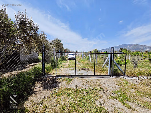 Kemalpaşa Armutlu Satılık 1120 m2 Bahçe - İZMİR KEMALPAŞA fotoğraf 11