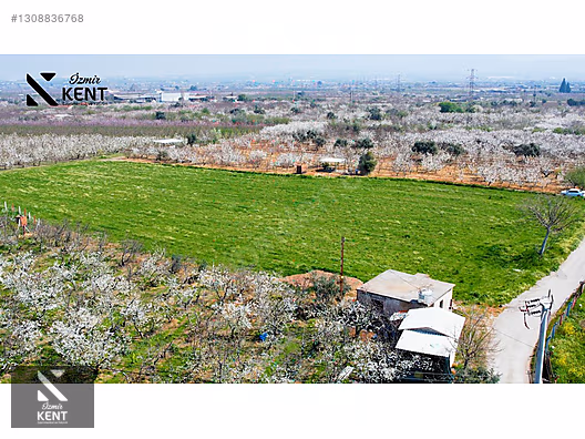 Kemalpaşa Ören 75. Yıl Satılık 8770 m2 Tek Tapu Tarla - İZMİR KEMALPAŞA fotoğraf 25
