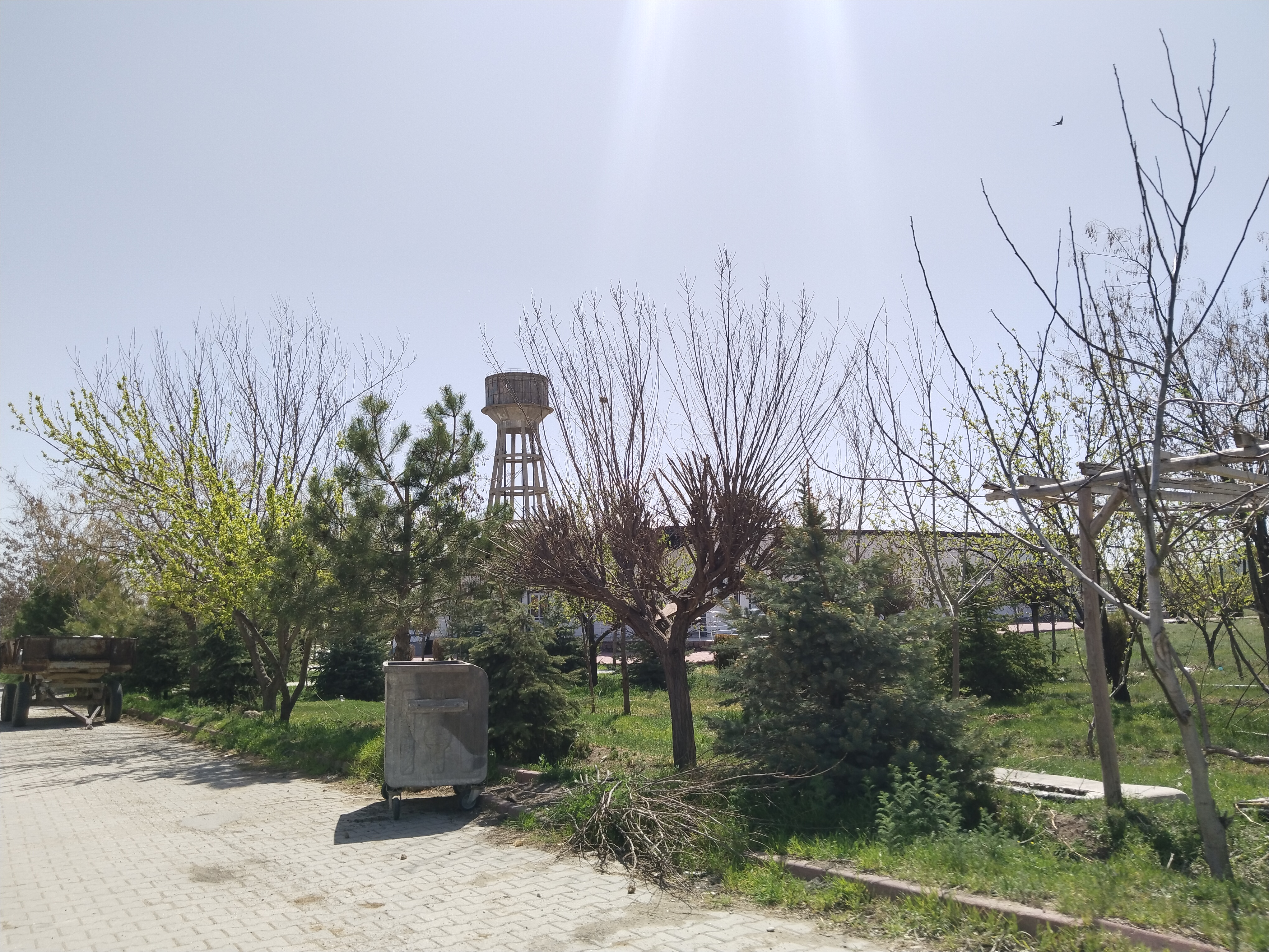 KONYA ÇUMRA ALİBEYHÜYÜĞÜ  KÖYÜNDE  272  M² BAĞ SATILIKTIR - KONYA ÇUMRA fotoğraf 18