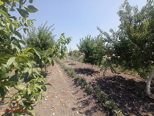ARTER EMLAK'TAN ALTIEYLÜL ATKÖYDE 1850 M² SATILIK HOBİ BAHÇESİ - BALIKESİR ALTIEYLÜL fotoğraf 5