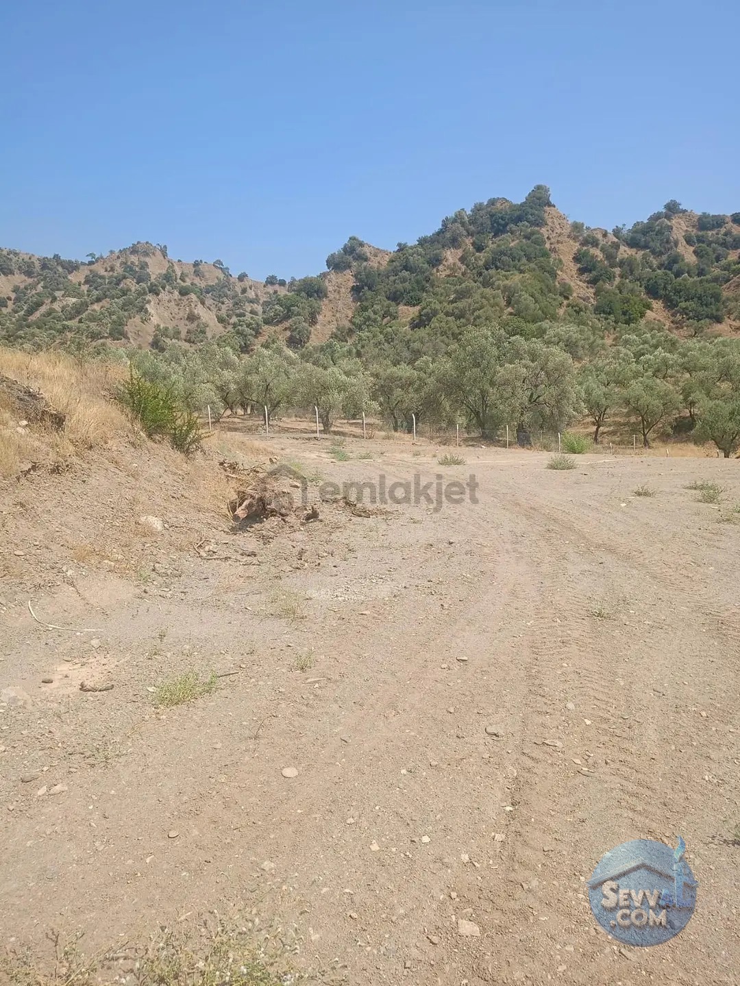 Sultanhisar Yağdere De 2 Yol Cepheli İmarlı Bahçe - AYDIN SULTANHİSAR fotoğraf 11