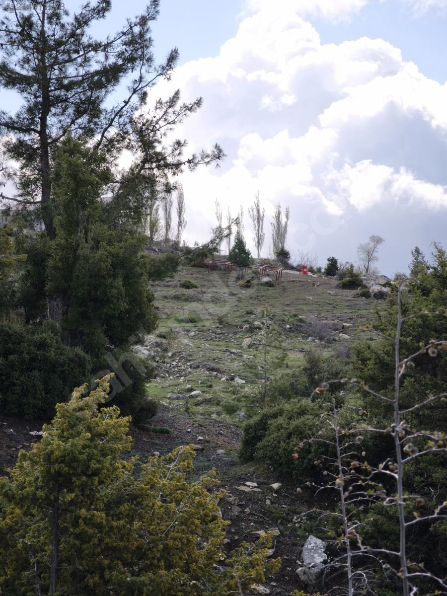 Antalya / Kumluca / Kuzca Mahallesinde 513 m² SATILIK ARSA  - ANTALYA KUMLUCA fotoğraf 11