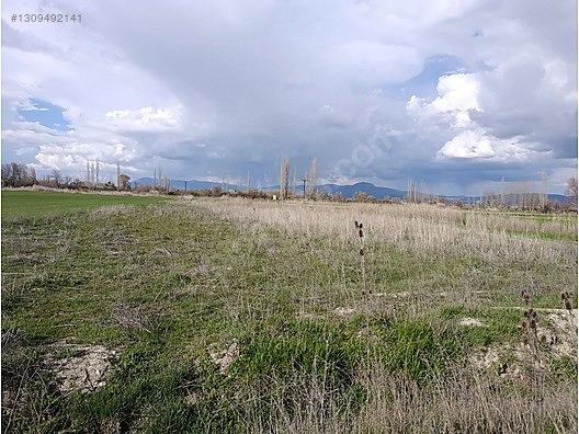 GÜLTEKİN EMLAKTAN Kargalı Yolu Üzerinde Satılık Tarla - BURDUR GÖLHİSAR fotoğraf 5