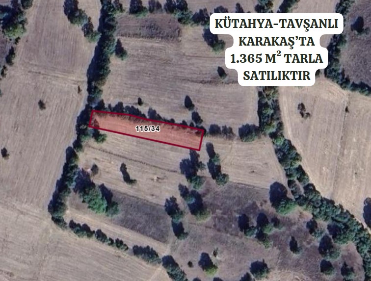 KÜTAHYA TAVŞANLI KARACAKAŞ KÖYÜ’NDE 1.365 M²  TARLA SATILIKTIR - KÜTAHYA TAVŞANLI fotoğraf 2