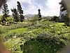 506 M² CADDE ÜZERİ PARSELLİ ARSA Hatay / Payas / Kürtül Mh. - HATAY PAYAS fotoğraf 2