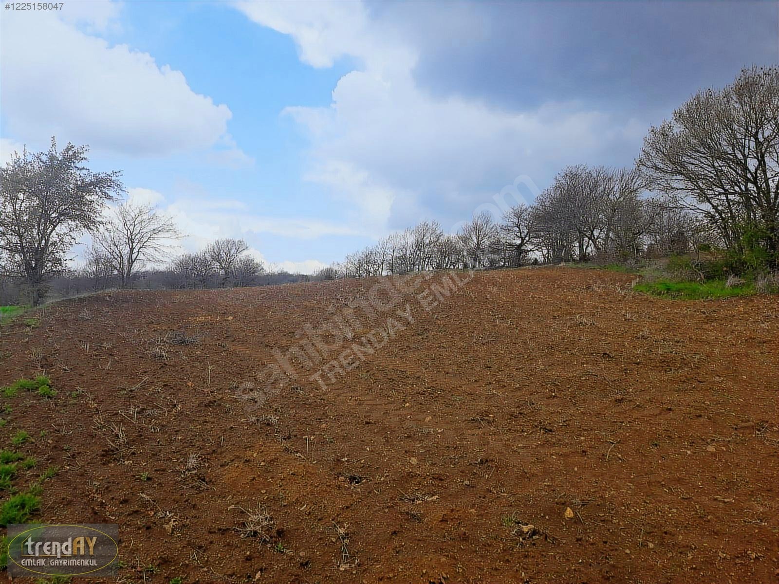 Dübekli Köyü'nde 10.570 m² Kadastral Yola Cepheli Tarlalar - BİLECİK BOZÜYÜK fotoğraf 22