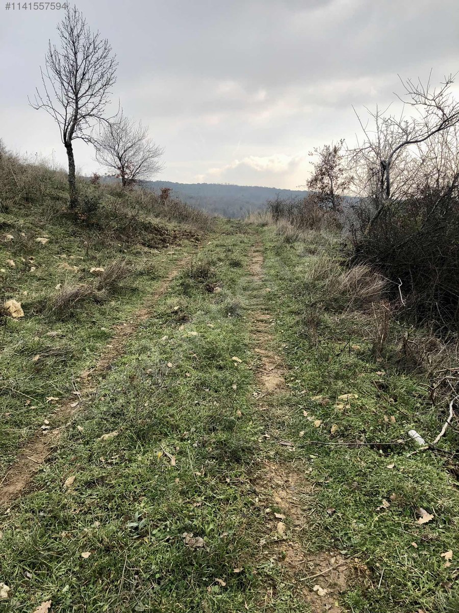 ŞAHİNYURDUNDA KÖY İÇİNDE ARSA - BURSA GEMLİK fotoğraf 12