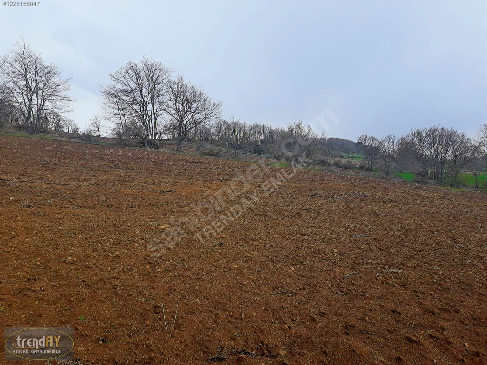 Dübekli Köyü'nde 10.570 m² Kadastral Yola Cepheli Tarlalar - BİLECİK BOZÜYÜK fotoğraf 23