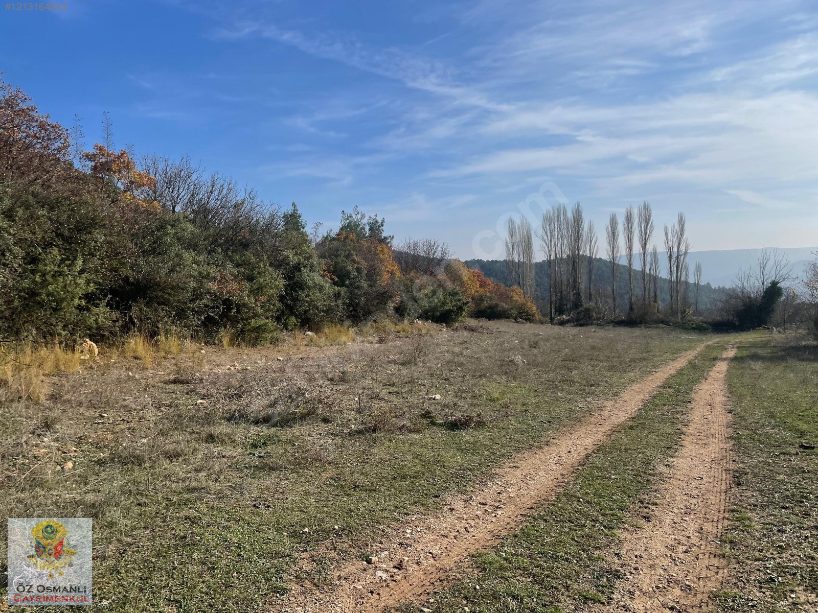 1.101 M2 YOLU, SUYU OLAN ASFALTA YAKIN YATIRIMLIK TARLA