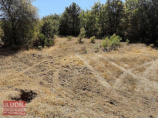 BİLECİK YENİPAZAR BATIBELENÖREN KÖYÜ SATILIK TARLA - BİLECİK YENİPAZAR fotoğraf 9