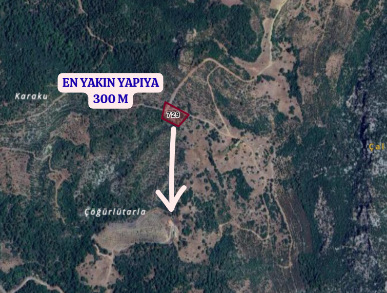 MANİSA AKHİSAR DOĞANKAYA   KÖYÜNDE  3.700 M²  TARLA  SATILIKTIR - MANİSA AKHİSAR fotoğraf 5