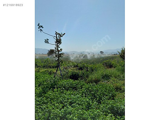 DENİZLİ ACIPAYAM APA  KÖYÜNDE 2.976  M² TARLA  SATILIKTIR - DENİZLİ ACIPAYAM fotoğraf 3