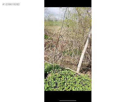 BALIKESİR SINDIRGI YÜREĞİL   177 M² TARLA  SATILIKTIR - BALIKESİR SINDIRGI fotoğraf 5