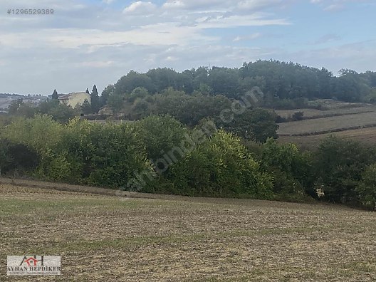 KOCAELİ ARAMAN DA ADAPAZARI KANDIRA YOLUNA CEPHELİ 3506 M2 TARLA - KOCAELİ KANDIRA fotoğraf 44