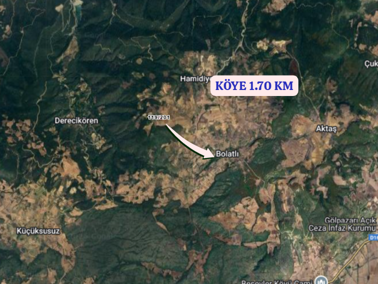 BİLECİK GÖLPAZARI BOLATLI  KÖYÜNDE 1.375  M² TARLA   SATILIKTIR - BİLECİK GÖLPAZARI fotoğraf 3