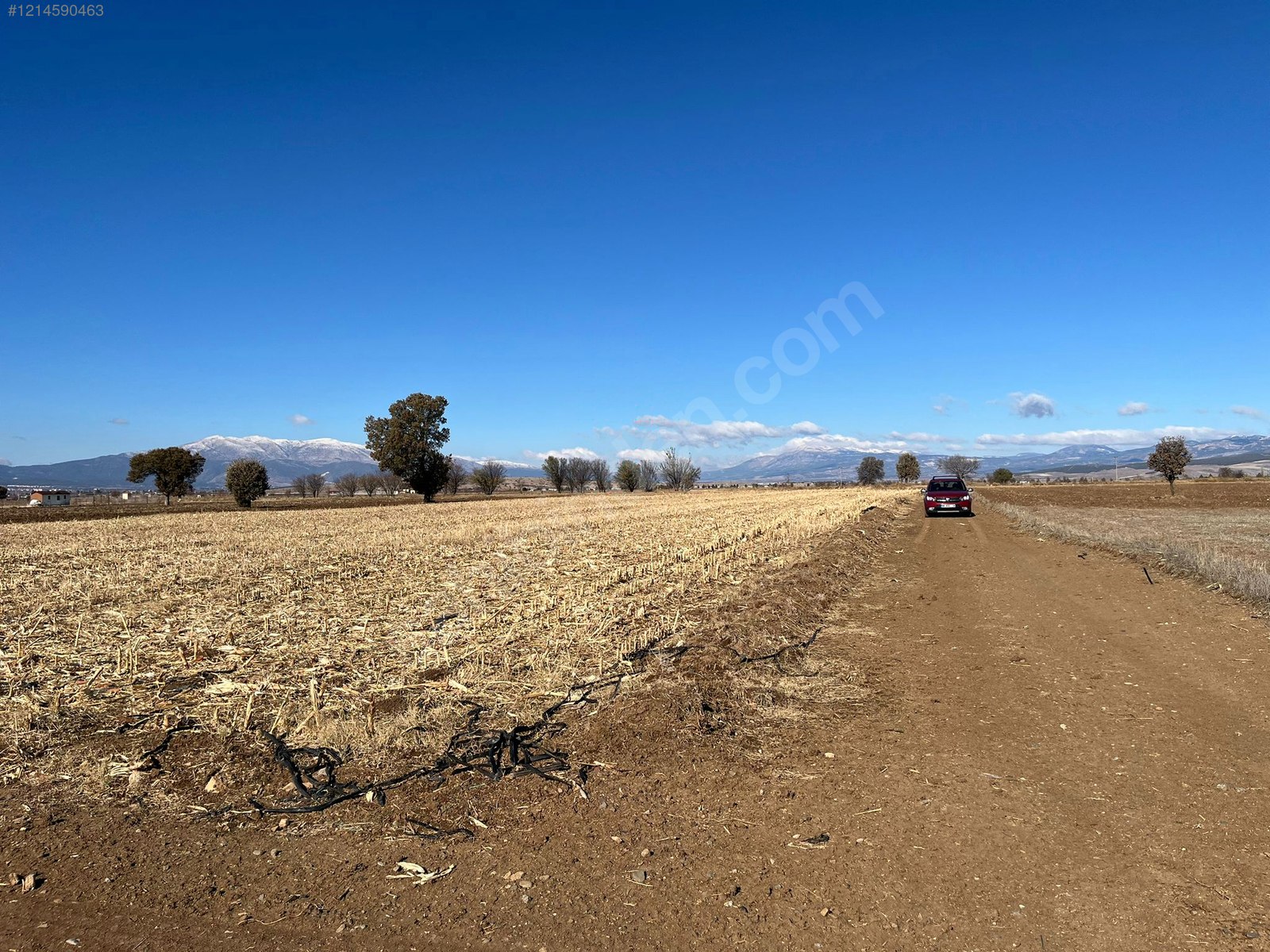 DENİZLİ ACIPAYAM YUMRUTAŞ  MAHALLESİ  1.598  M²  TARLA  SATILIKTIR - DENİZLİ ACIPAYAM fotoğraf 13