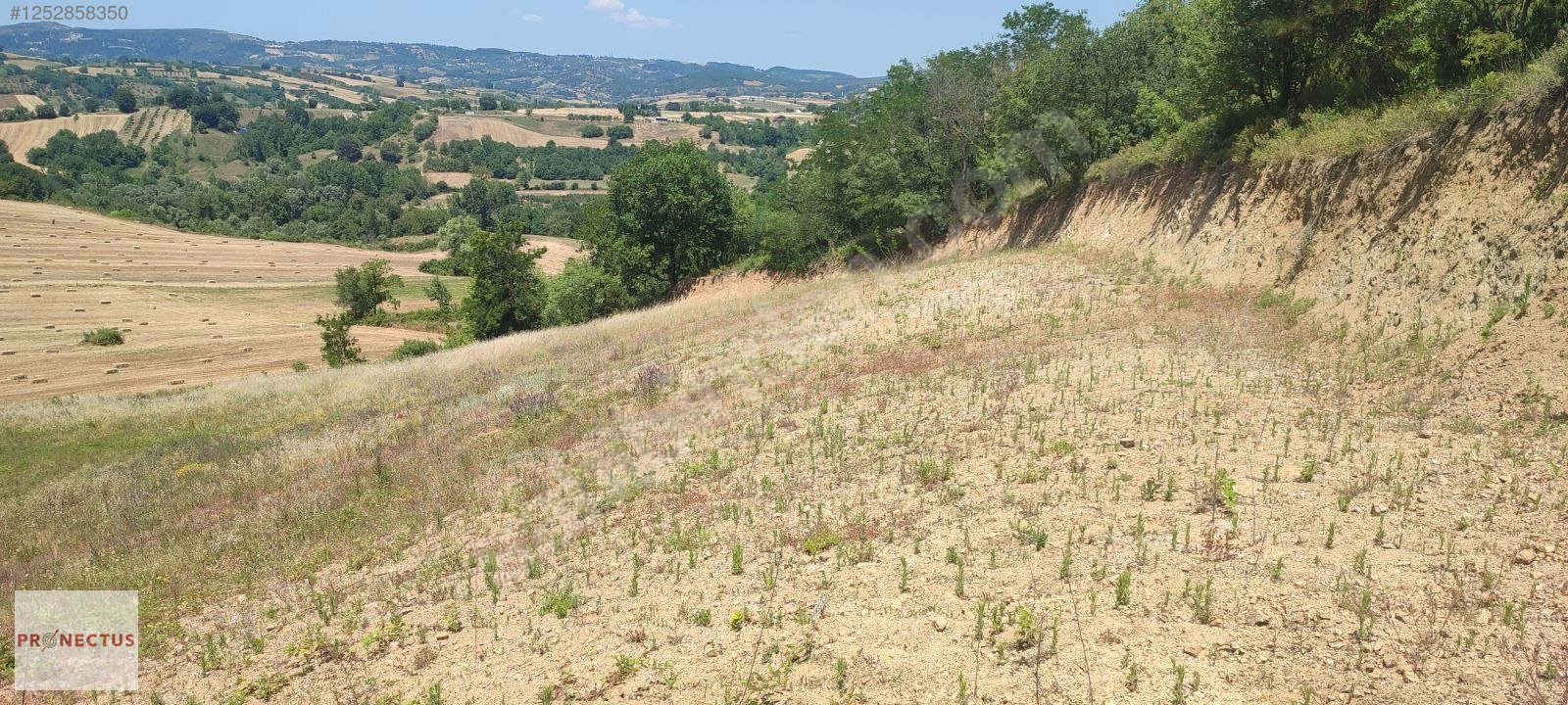 AVCIKÖY MAHALLESİNDE RESMİ YOLA CEPHE 3057M2 İMARLI SATILIK ARSA - KOCAELİ KARAMÜRSEL fotoğraf 4